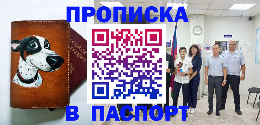 прописка ребенка в Кольчугино